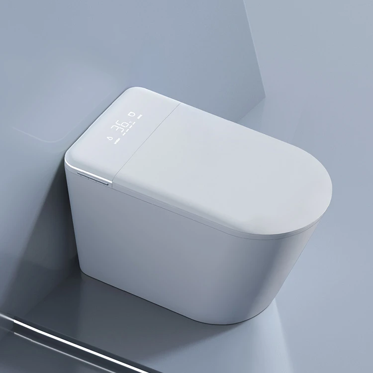 Nieuw slim toilet